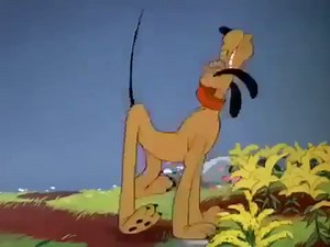 Pluto Springtime For Pluto Disney Cartoon Classic HQ
