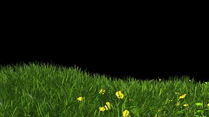 Download Meadow Grass Background for free