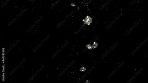 Air bubbles in water rising up to the surface on isolated black background. Air bubbles floating under transparent water bubbles in aquarium