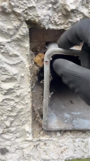 This customer wanted a old vent cover to be securely fitted (PART ONE) #airvent #pestproofing #pestcontrolservice #pestprevention #pestmanagement | Pearl's Pest Control