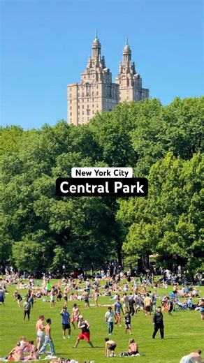 🌳 NEW YORK CITY: Picnic Season Officially Started in Central Park, Manhattan #newyork #nycsummer