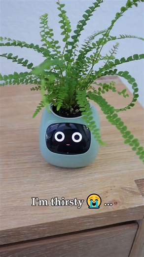 19K views · 163 reactions | Learn how smart plant care devices contribute to indoor gardening by automating watering, adjusting light levels, and tracking environmental factors to support proper plant growth. | Desi Johnson Wavy | Facebook