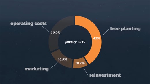 Ecosia: Is this search engine actually planting trees?