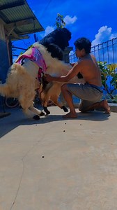 Iclik sek💦 | Iwin Iwin