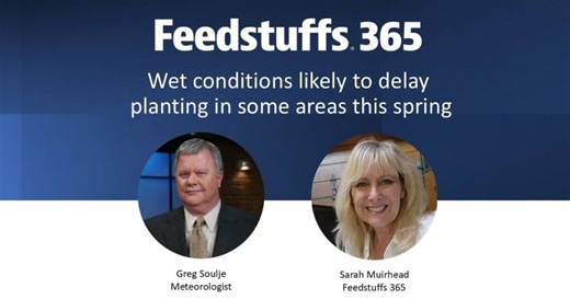 Wet weather conditions likely to delay planting in some areas | Feedstuffs