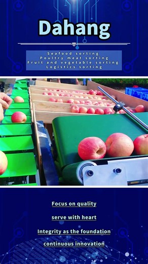 Weight Sorting Machine for Poultry, Seafood, Produce & Parcels – Custom Built