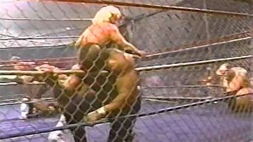 WCW.1987.NWA.The.Great.American.Bash.1987.VHSRip.x264-RUDOS.mp4