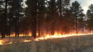 Crews battle 2 human-caused fires in northern Arizona