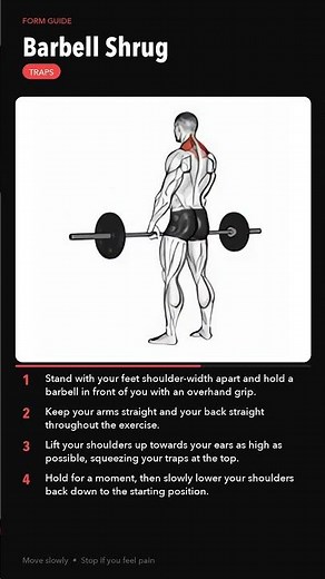 Perfect Barbell Shrug Form | Traps
