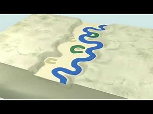 Terrace formation by a meandering river