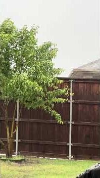 2 minutes rain with wind and wind chime