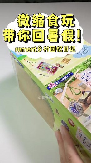 我的暑假秘密回忆怎么捕虫
