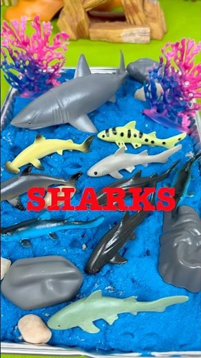 SHARKs FUN Counting from 1 to 10! Sea Animals for Kids