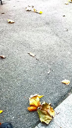 2.5K views · 382 reactions | @marta_zlakowska ‘Out The Way’. Test press approved. Vinyl soon. | Tricky | Facebook