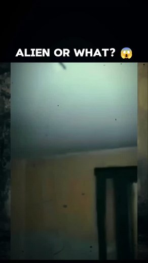 506 reactions · 11 comments | Paranormal Creatures Caught on Camera  #paranormal #creepy #scary #paranormalcreatures #scarycontent | Mystery Lore | Facebook