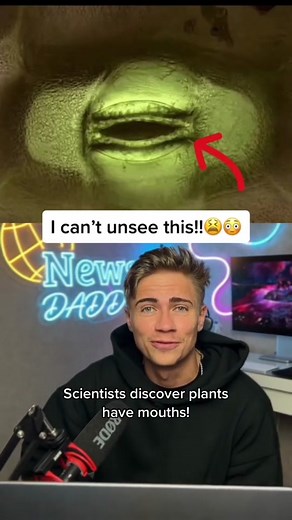 Last night was a movie… or a greenhouse 😜 stitch w/ @dylan.page