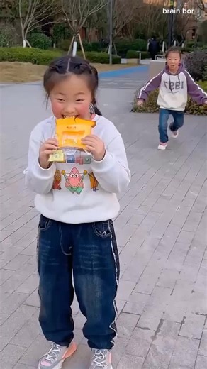 Effective Dog Training Techniques for Owners