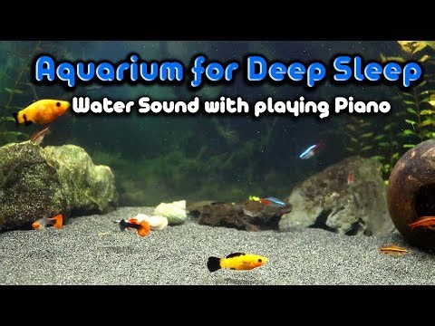 Fall Into Deep Sleep with This Aquarium Video | Calm Fish Movement