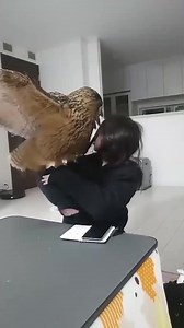 14K views · 575 reactions | cute animals cute baby animals cute...