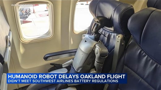 Watch: Robot passenger causes flight delay in California