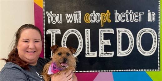 LC4 changing things up to change euthanasia numbers