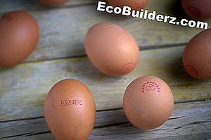 ¿Qué significa el código F3 en mi estufa GE Stove Top? - 2025 | Es.EcoBuilderz.com
