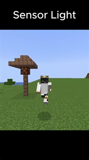 Sensor Light minecraft | #minecraft #shorts #gaming