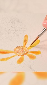 Building up this marigold and cornflower in vibrant complementary colours🧡💙 | Billy Showell's School of Botanical Art