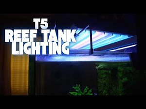 T5s are BACK! swapping out leds on my reef tank