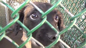 4.4K views · 403 reactions | Baby JERRY is super cute and even though...