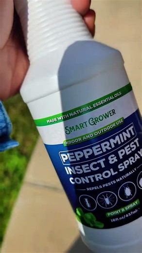 Protect your space without harsh chemicals