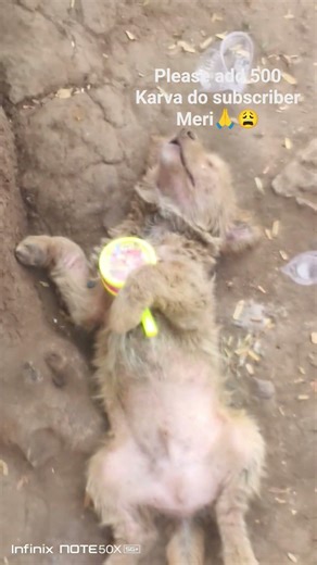 YouTube short video creator 500 please😩🙏