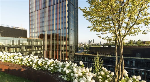 Warszawski biurowiec jest zatopiony w zieleni. Tak się pracuje w kampusie Forest