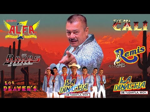 LA DINASTIA, TIERRA CALI, GERARDO DÍAZ, LOS PLAYER 🔥 ÉXITOS CLÁSICOS DE TIERRA CALIENTE MIX 2025
