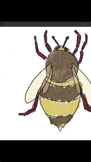 Is Drawing a Bee really that easy? (let me show you)
