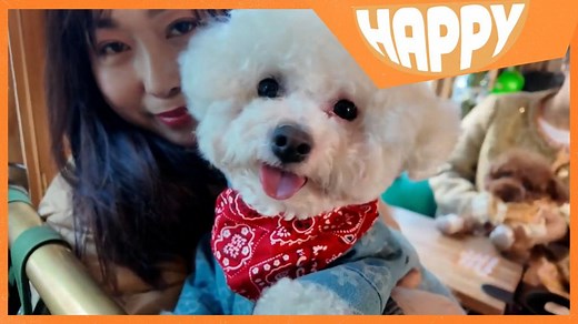 Happy News: Stories to make you smile