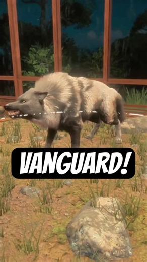 Lodge tour the wolf room! 🐺 #cotw #thehunter