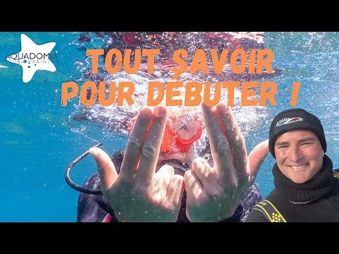 Getting started with diving: everything you need to know about level 1, the "PADI" certification ...