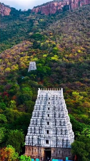A sacred ( Tirumala Tirupati ) #tirupati #tirumala #tirupatibalajitemple #tirumalahills #explore
