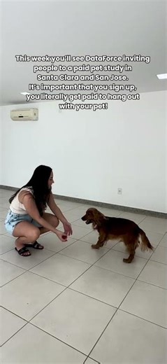 Garfield Paid Study for pets 🐶🐱💸#Shorts