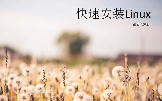 快速安装Linux（虚拟机）