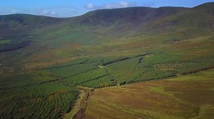 Welcome to Waterford. From the City to the Sea, Waterford has something for everyone! Start planning your visit today. | Visit Waterford