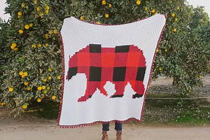 Modern, Rustic C2C Crochet Bear Blanket - Free Pattern by E'Claire Makery