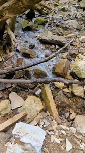 6.6K views · 146 reactions | All of the water in this stream sinks into this hole, which goes into the cave below. We've tried to find the area in the cave but cannot access it due to lots of breakdown. #Tennessee #caves | TAG Caver | Facebook