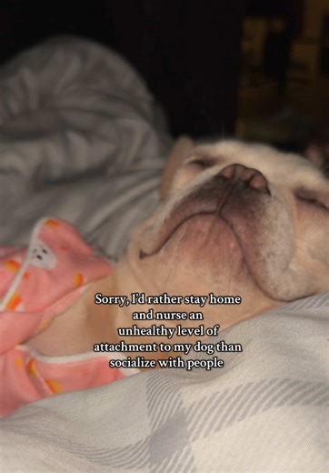 Caring for French Bulldog Puppies: A Guide for Dog Moms