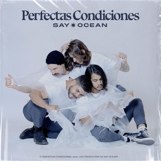 Perfectas Condiciones - Letra - Say Ocean