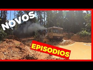 Brucutu de volta ao seu Habitat Natural