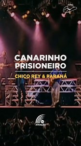 Chico Rey & Paraná - Canarinho Prisioneiro 🎧 Tem @chicorey_e_parana com "Canarinho Prisioneiro" no seu tbt especial de hoje! Acesse o canal "Atração Divulga" pra conferir esse sucesso! (Link na Bio) #atracaodivulga #chicoreyeparana #canarinhoprisioneiro #sertanejo #sertanejoraiz #modão #modaosertanejo #modaoraiz #classicosertanejo | Atração