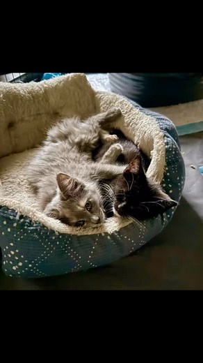 22 reactions | Sharyn Fisher on Reels | Facebook