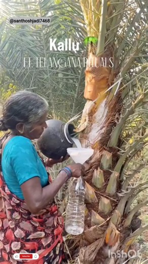 Thagadam Kallu 🥤🧋#youtuber #trending #love #youtubeshort #song #travel